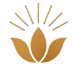 logo v2